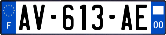 AV-613-AE