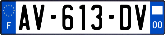 AV-613-DV