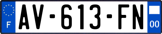 AV-613-FN