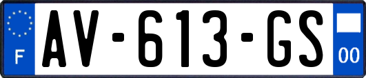 AV-613-GS