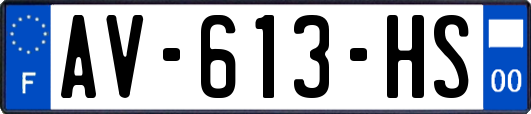 AV-613-HS