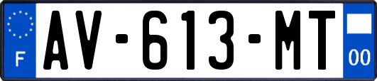 AV-613-MT