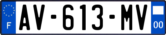 AV-613-MV