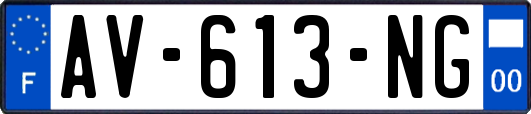 AV-613-NG