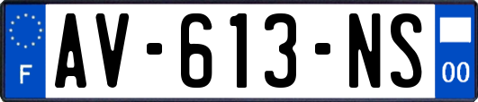 AV-613-NS