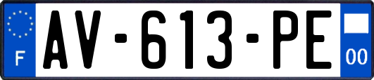AV-613-PE