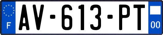 AV-613-PT