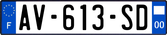 AV-613-SD