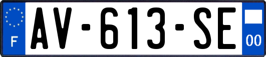 AV-613-SE