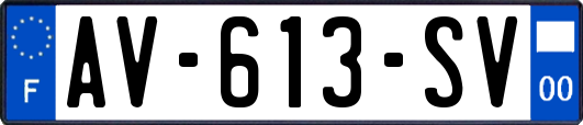 AV-613-SV