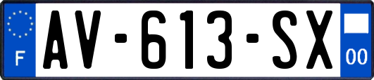AV-613-SX