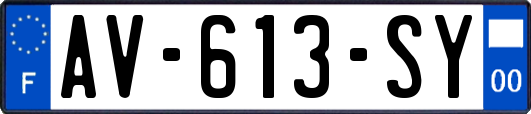 AV-613-SY