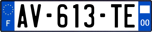AV-613-TE