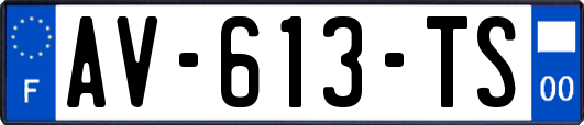 AV-613-TS