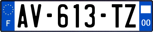 AV-613-TZ