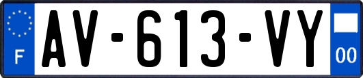AV-613-VY