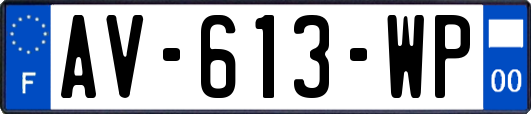 AV-613-WP