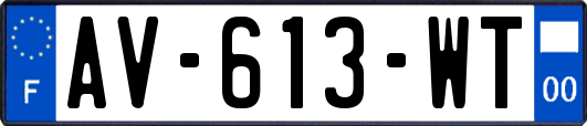AV-613-WT