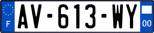 AV-613-WY