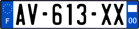 AV-613-XX