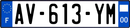 AV-613-YM