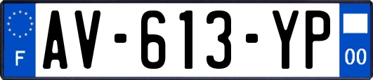 AV-613-YP