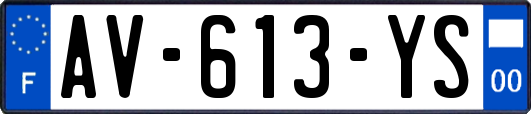 AV-613-YS