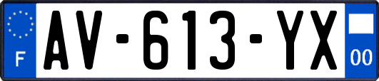 AV-613-YX