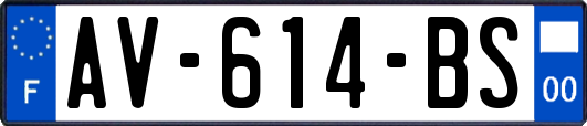 AV-614-BS