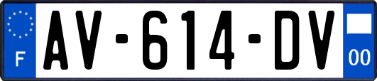 AV-614-DV