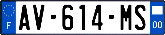 AV-614-MS