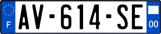 AV-614-SE