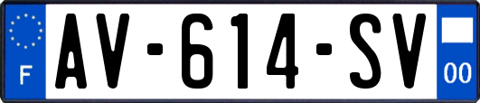 AV-614-SV