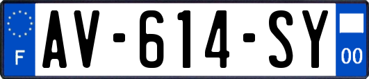 AV-614-SY