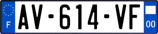 AV-614-VF