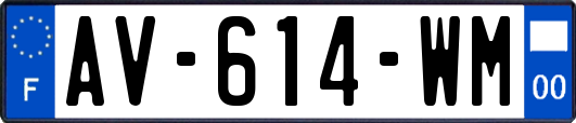 AV-614-WM