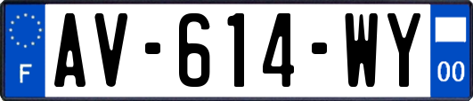AV-614-WY