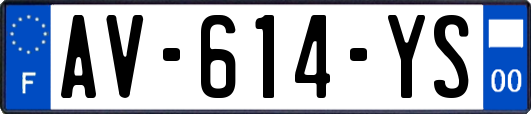 AV-614-YS