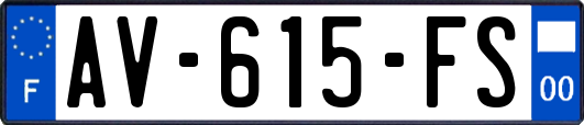 AV-615-FS