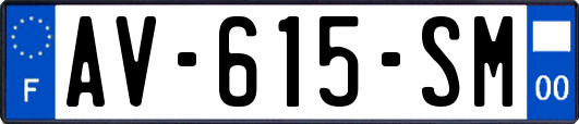 AV-615-SM