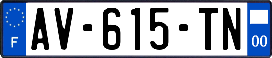 AV-615-TN