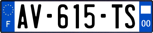 AV-615-TS