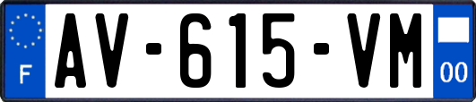 AV-615-VM
