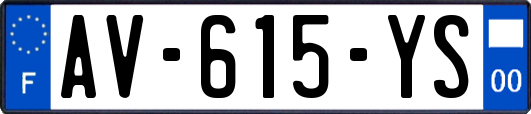 AV-615-YS