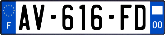 AV-616-FD