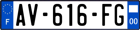 AV-616-FG
