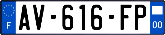 AV-616-FP