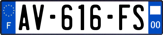 AV-616-FS