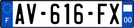 AV-616-FX