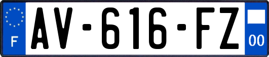 AV-616-FZ